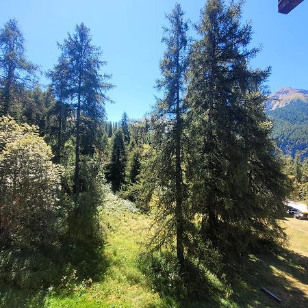 Le Lodge Des Marmottes - Calme, Cosy, Vue Nature Les Orres Kültér fotó